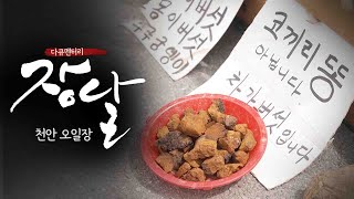 천안 오일장 | 천안 병천장 그리고 성환장의 향기에 취해 | 다큐멘터리 장날 스페셜 10회