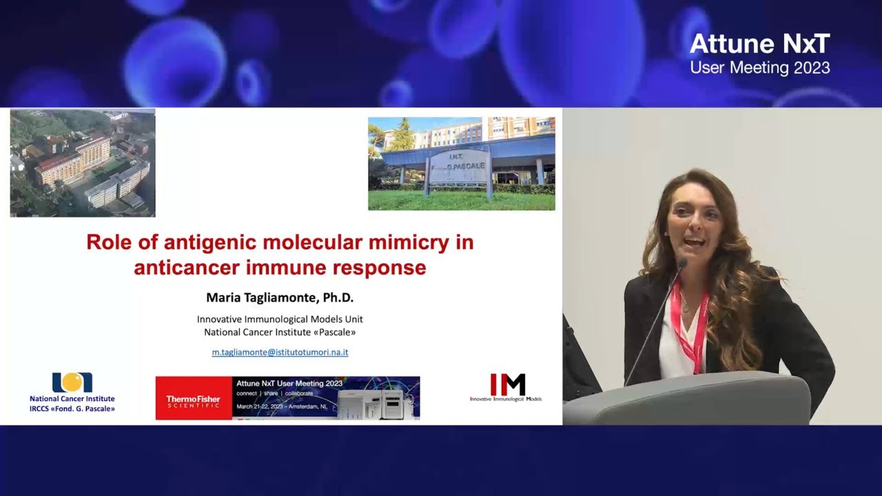 Role of antigenic molecular mimicry in anticancer immune response YouTube