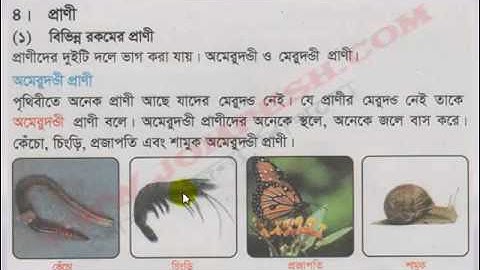 তৃতীয় শ্রেণীর বিজ্ঞান: জীব ও জড় বিষয়ক শিক্ষা