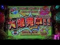 CRAギンギラパラダイス情熱カーニバル強99Ver B00018