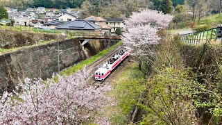 Удаленное приключение суперкара: Пересечение самого высокого железнодорожного моста в Японии