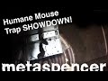 Humane Mouse Trap Showdown!