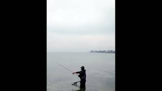 Balzer Seatrout Neo spoon