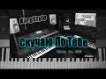 KorgStyle  -Скучаю по тебе (Korg Pa 900) DemoVersion