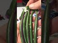 Some Baits for our giveaway!! Only 15 more followers needed on our Facebook page. #bait #fishing