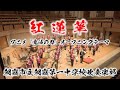 Demon Slayer 紅蓮華～アニメ「鬼滅の刃」オープニングテーマ（草野華余子／今村愛紀）【朝霞第一×鬼滅の刃】