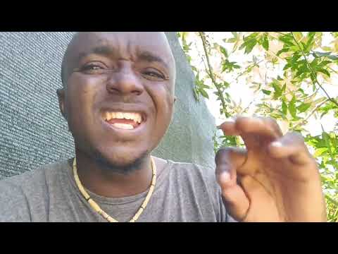 They Re Asking Where You Have Become Going And What You Did To What They Plotted To Destroy You 