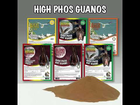 Guano - Plan B Organics