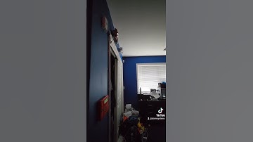 Motion detector alarm