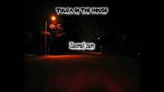 Ictenko_Zasmal zam (audio official)