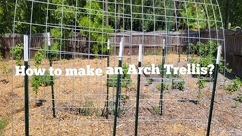 How to make an Arch Cattle Panel Trellis?
