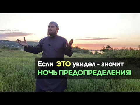 Видео: Что означает NOC?