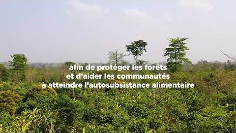 Overarching - Nestlé Cocoa Plan (FR)