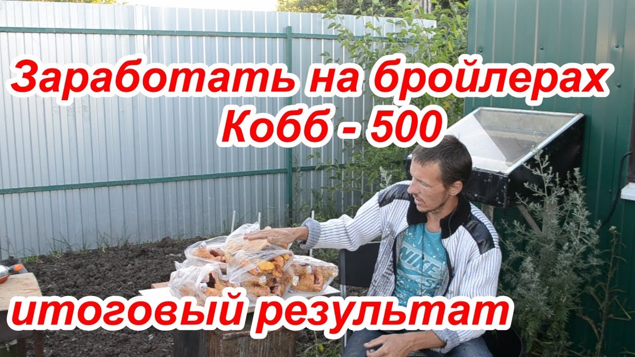 Прибыль от бройлеров  за 65 дней. Выгодно или нет??? - YouTube Записки дачника