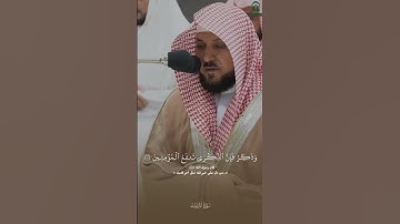 وذكر فإن الذكرى تنفع المؤمنين | القارئ | ماهر المعيقلي |