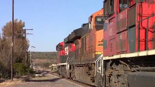 Ferromex en los Altos Jalisco ! Parte 2