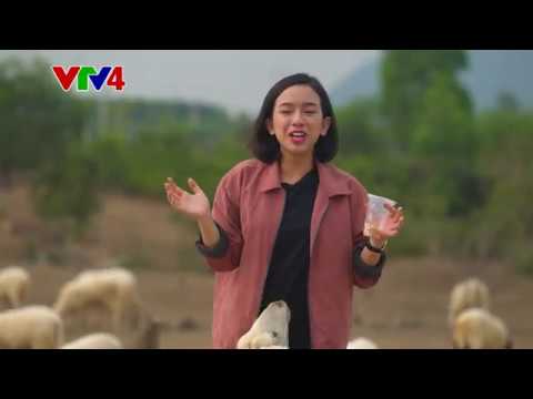 Trải nghiệm du lịch và khám phá ẩm thực Việt Nam cùng VTV4