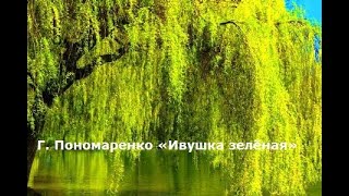 Г  Пономаренко «Ивушка зелёная»