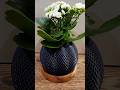 Turning Wood & Printing Plastic Into One Plant Pot #shorts #3dprinting #crafts #bambulab