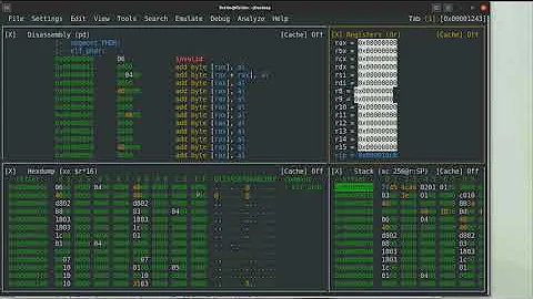 Radare2 Series 0x4 - Debugging Part 2 OllyDBG Look and Feel with R2 Panel View