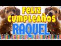 ¡Feliz Cumpleaños Raquel! (Perros hablando gracioso) ¡Muchas Felicidades Raquel!