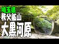 スカルン鉱物の聖地に行ってみた‼【埼玉県 秩父鉱山･大黒河原】車横付けで子連れでも行けて黄鉄鉱がいっぱいです！