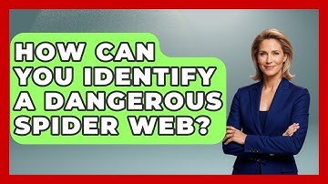 How Can You Identify A Dangerous Spider Web? - Insects and Invaders