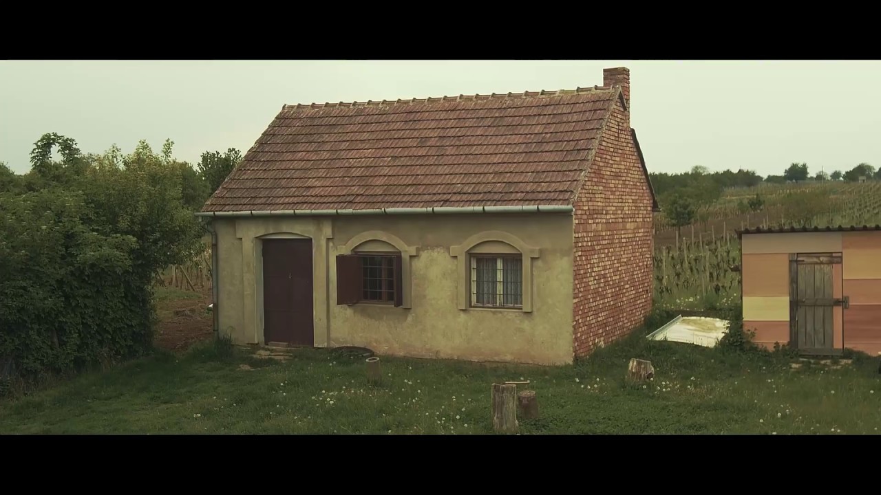 Panasonic GH4 + Sigma 18-35mm + Aputure LensRegain + Osiris Vario X LUT