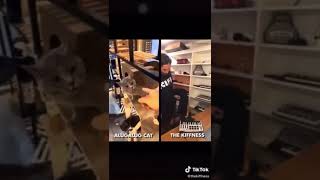 Alugalug Cat Original