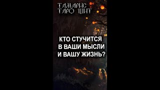 КТО СТУЧИТСЯ В ВАШИ МЫСЛИ И ВАШУ ЖИЗНЬ?🔥💯ТАРО / РАСКЛАД / ГАДАНИЕ