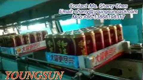 Tray shrink Wrapper-YS-ZB-6IIB(can)--YOUNGSUN