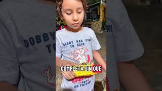 Datos Curiosos Gusano del Maiz #datoscuriosos #animales #insectos #niños