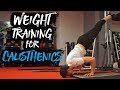 Weight Training For Calisthenics?! (3 EXERCISES)