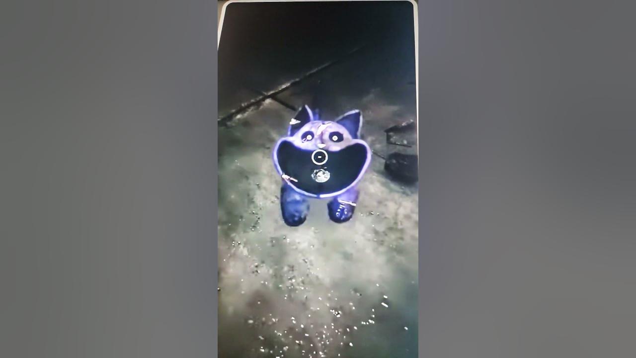 миленький кэтнэп cute catnap #поппиплеймтайм ️ - YouTube