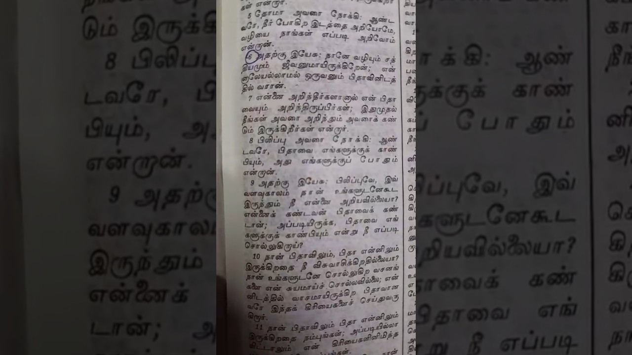 Promise Verse | John 14:6 