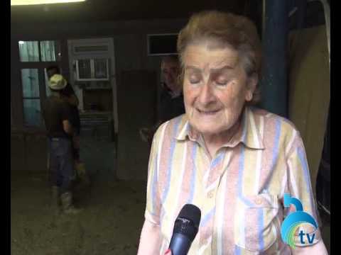 ბორჯომში სტიქიისგან მიყენებული ზარალის ოდენობამ შესაძლოა 5 მილიონ ლარამდე მიაღწიოს