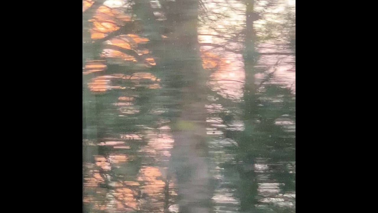 BISSE – Hvide Vægge