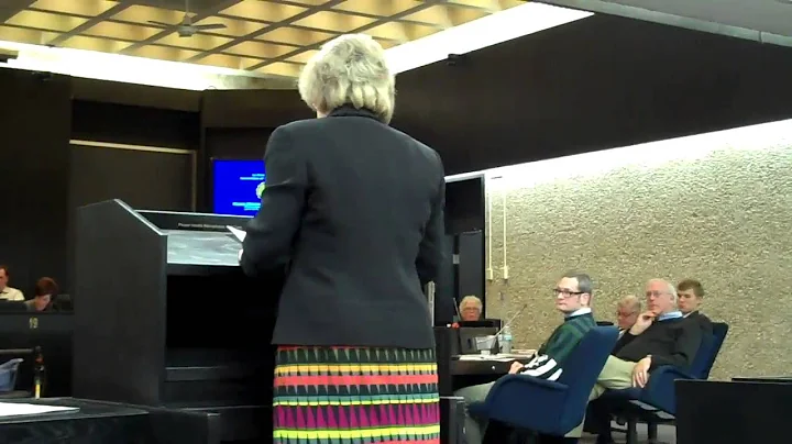 Cathy Conner addressing the La Crosse City Council...