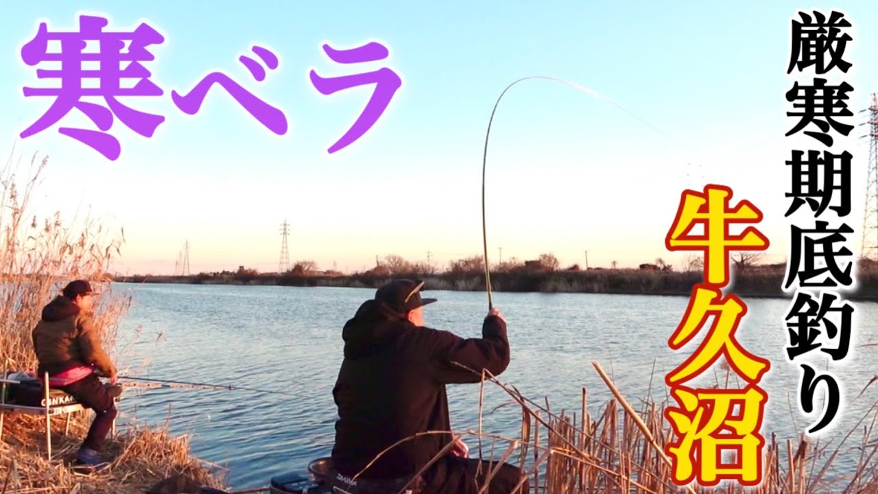 牛久沼で厳寒期の底釣り！真冬に見事な寒ベラが釣れる有名ポイントに挑む【西谷田川】