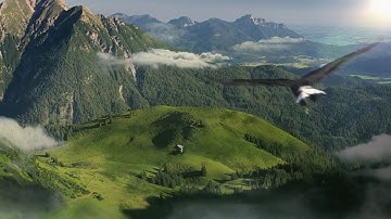 TVC INSEE VỮNG XÂY CUỘC SỐNG | INSEE Việt Nam |