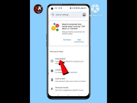 Google Assistant voice