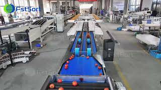 🍅⚙️Dual-Lane Tomato Weight Sorting Machine – ±2g Accuracy, 50,000 pcs/h