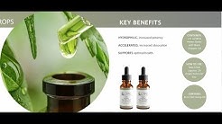 Where To Buy Hemp Seed Oil In Edmonton - Urbanremo- Flyte Pens @ Edmonton Cannabis & Hemp Expo!