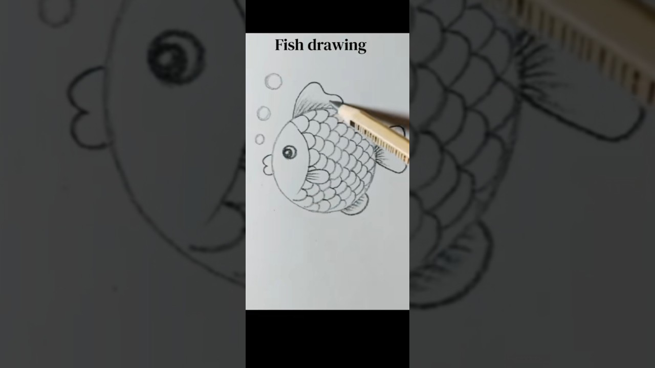 easy fish drawing 