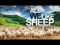 All We Like Sheep - Don Moen (With Lyrics)