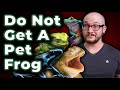 Do not get a pet frog they suck three reasons why