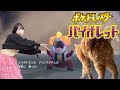 わくわくポケモンバイオレット!!!その6