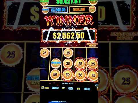 HIGH LIMIT DRAGON LINK MINOR JACKPOT MADE HER SCREAM! #shorts
