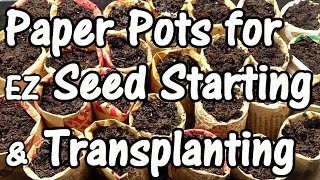 How to Make Free Paper Pots for EZ Seed Starting, Transplanting & Potting Up