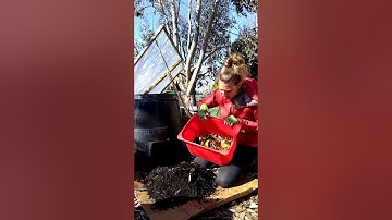Backyard Composting Basics